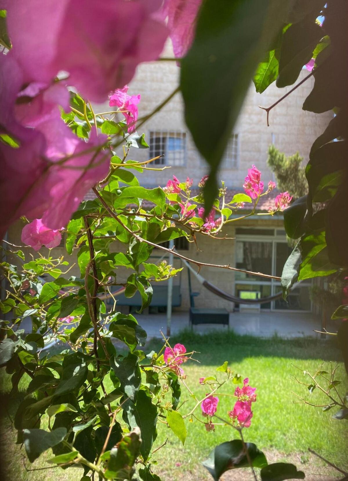 דירת גן מרווחת במיקום מעולה עם נטפליקס חינמי Apartment Ma'ale Adumim Exterior photo